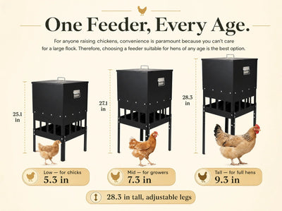 The Henstead Feeder